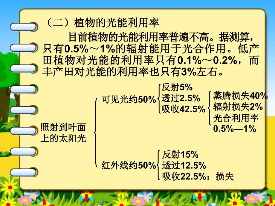 三节提高植物光能利用率的途径民勤职专李亚茹_第4页