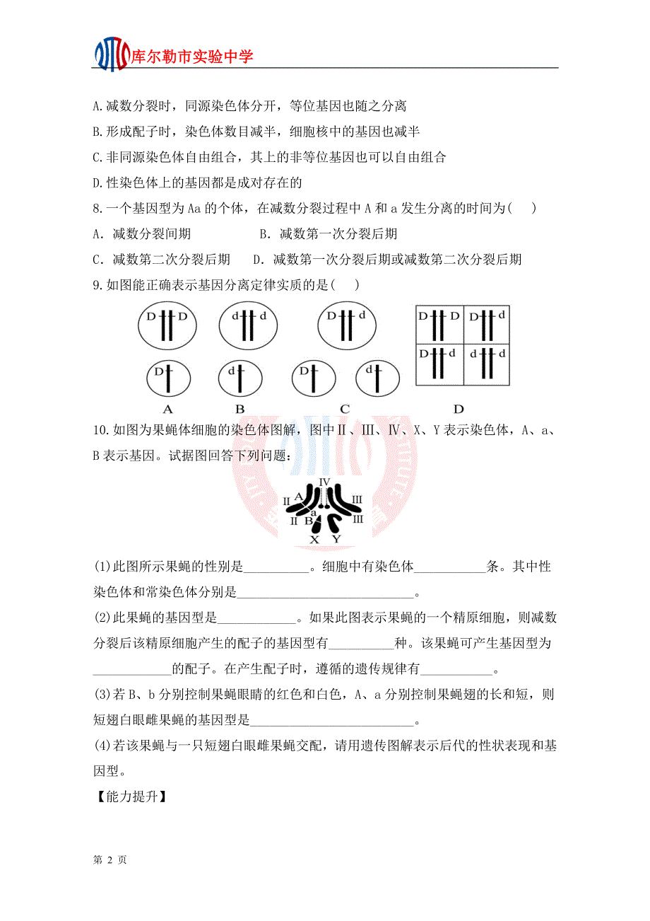 2.2基因在染色体上达标训练1(人教版必修II).doc_第2页