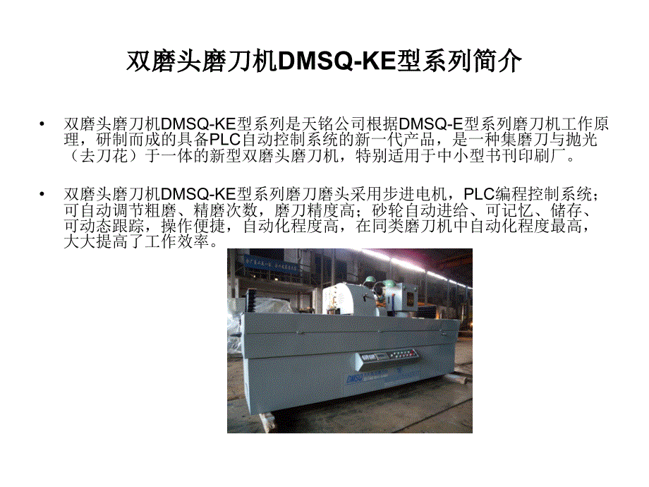 双磨头磨刀机DMSQKE_第2页