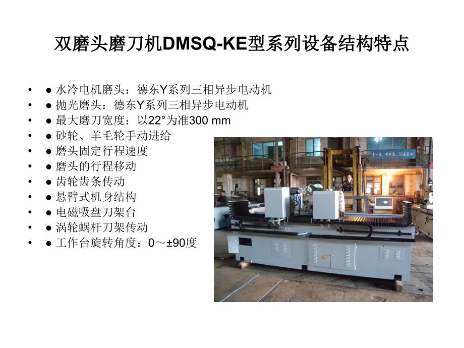 双磨头磨刀机DMSQKE_第3页