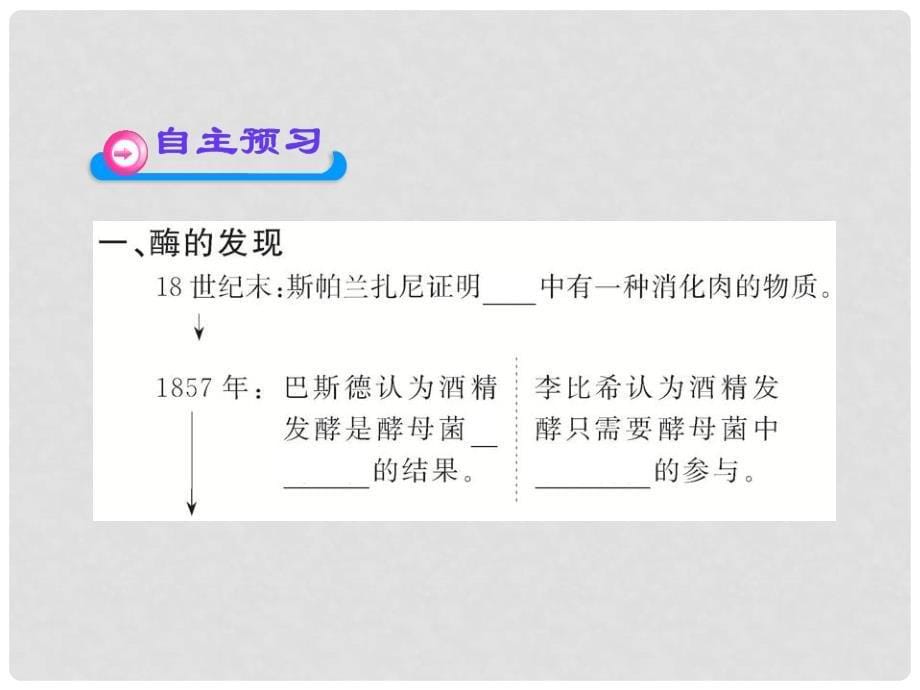 高中生物 3.3酶课件 浙科版必修1_第5页