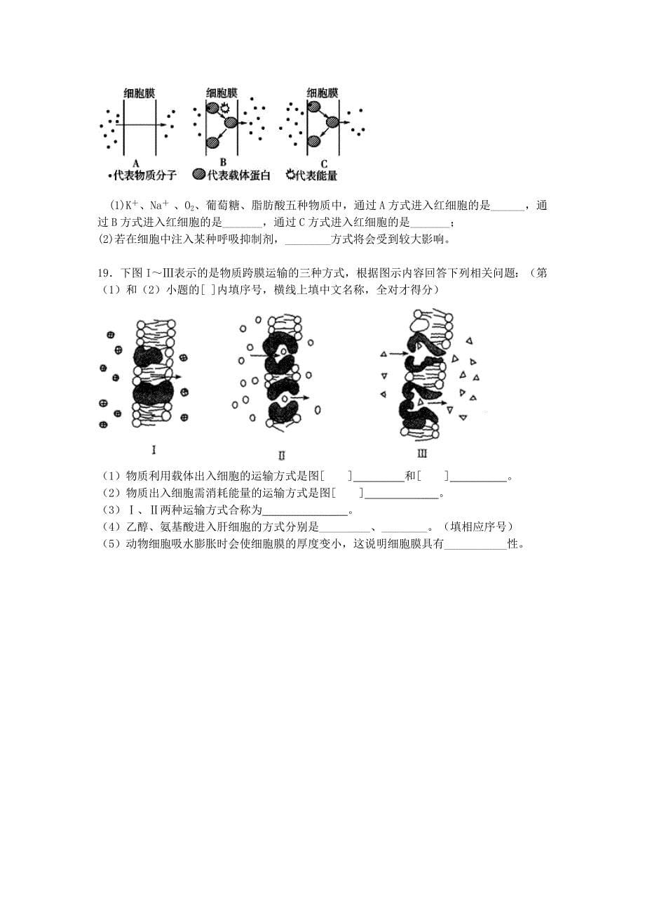 江西省万载2016届高三生物总复习第四章细胞的物质输入和输出单元检测试卷新人教版必修1_第5页