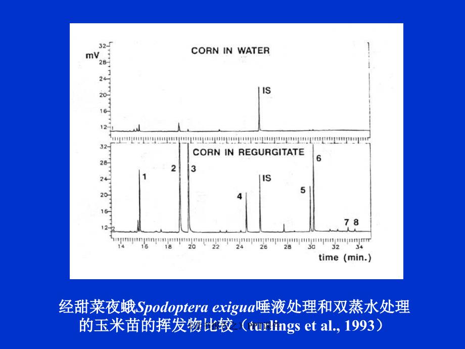 读书报告之课件_第4页