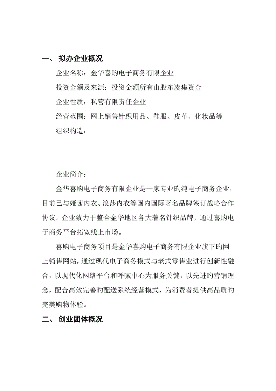 成立电子商务有限公司可行性研究报告申请报告_第2页