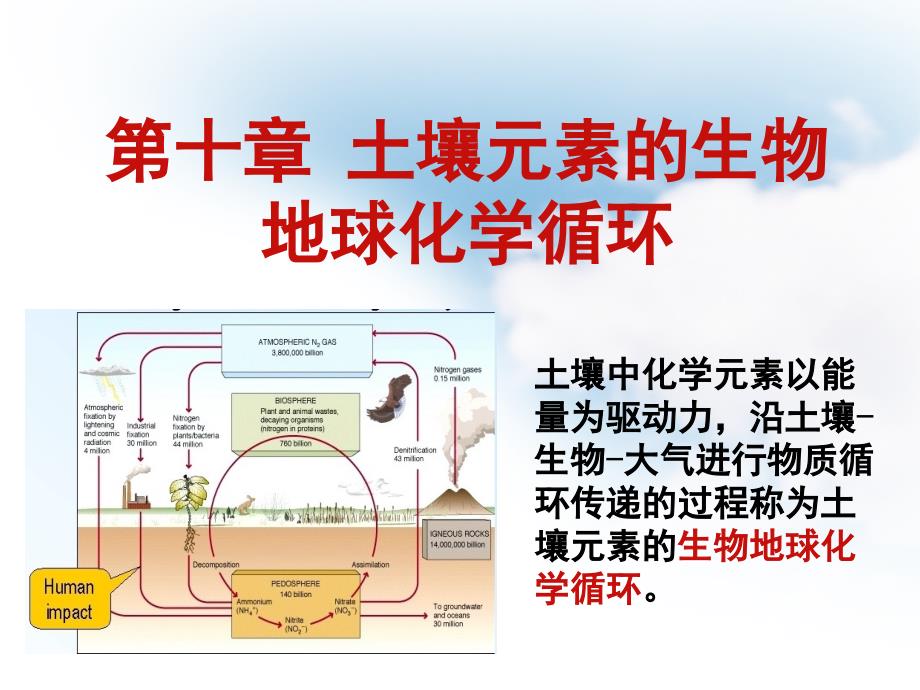 第十章土壤元素的生物地球化学循环_第1页