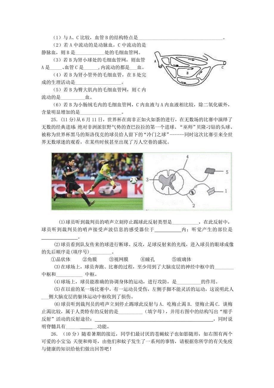 第二学期七年级生物学业水平考试.doc_第5页