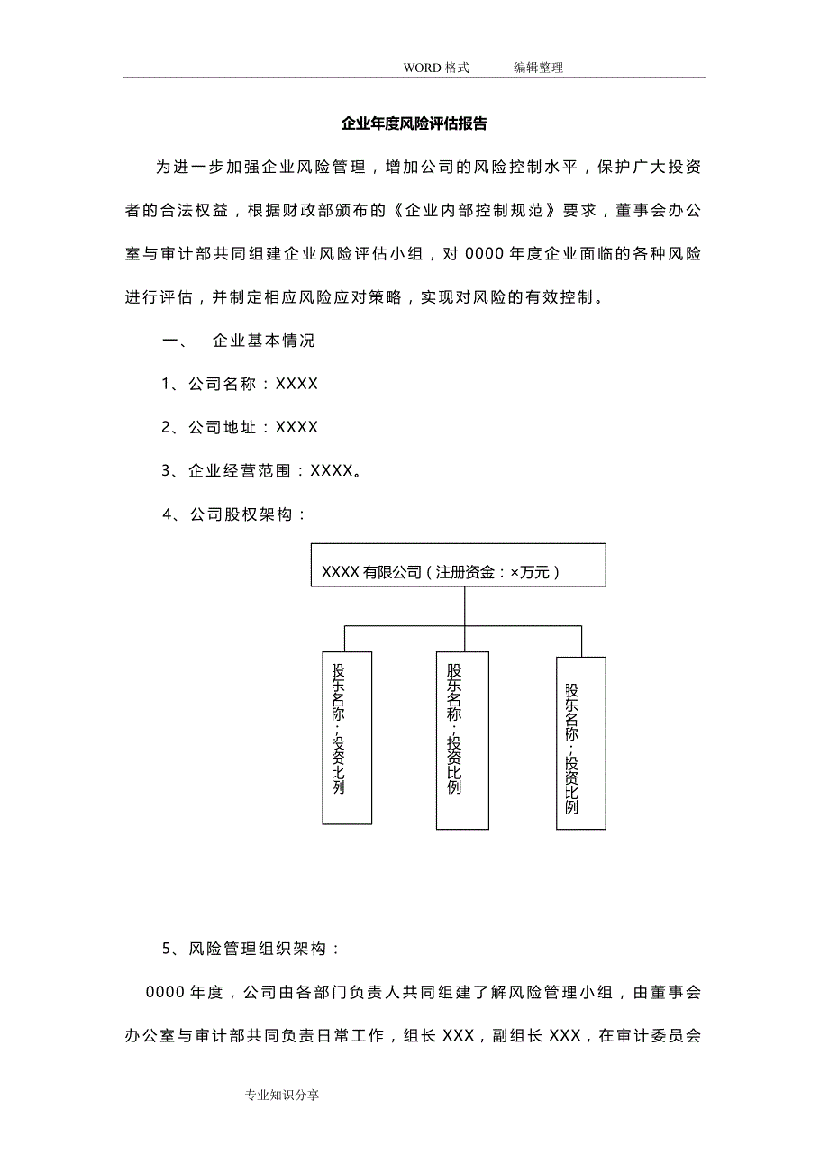 企业风险评估实施报告_第1页