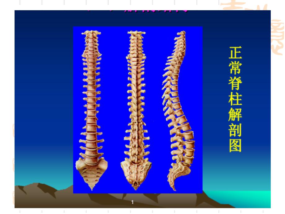 颈肩腰腿痛的康复治疗——运动与误区(PPT3)_第2页