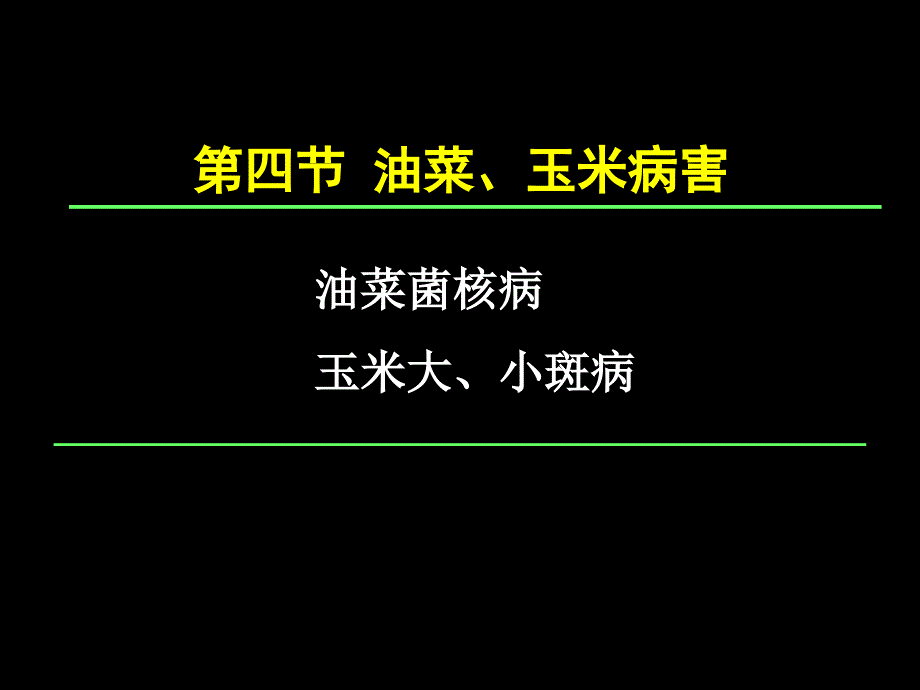 植物保护学通论：第四章 油菜玉米病害_第1页