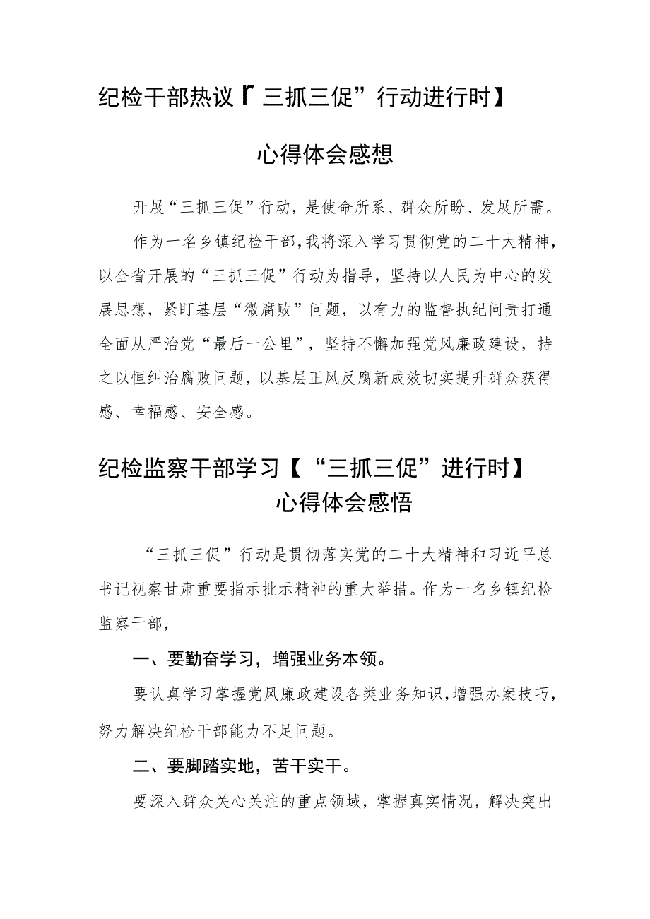 纪检监察机关【“三抓三促”行动进行时】心得体会合篇【三篇】_第2页