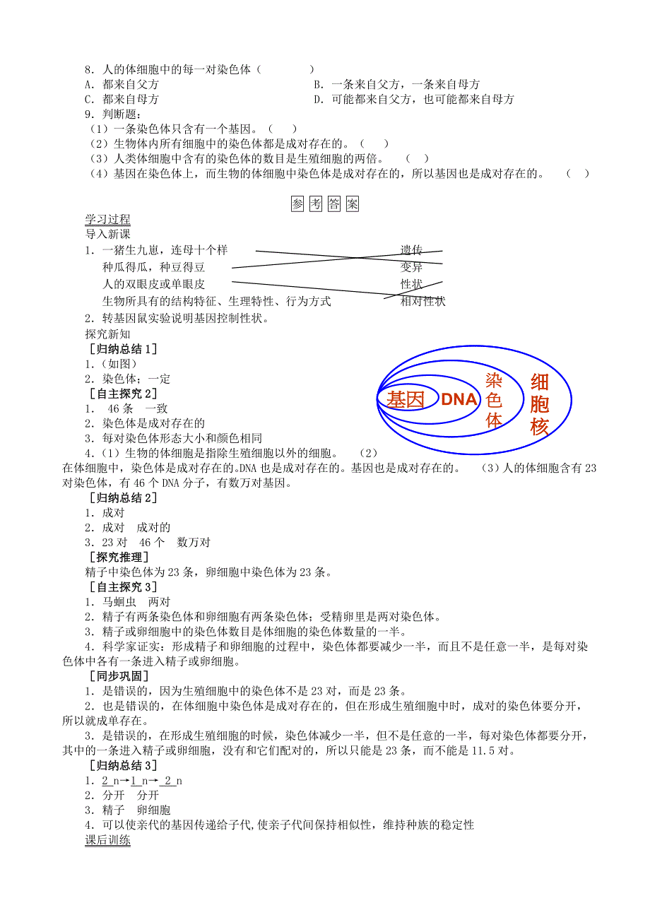 八年级生物下册 第7单元 第2章 第2节 基因在亲子代间的传递学案2 （新版）新人教版_第3页