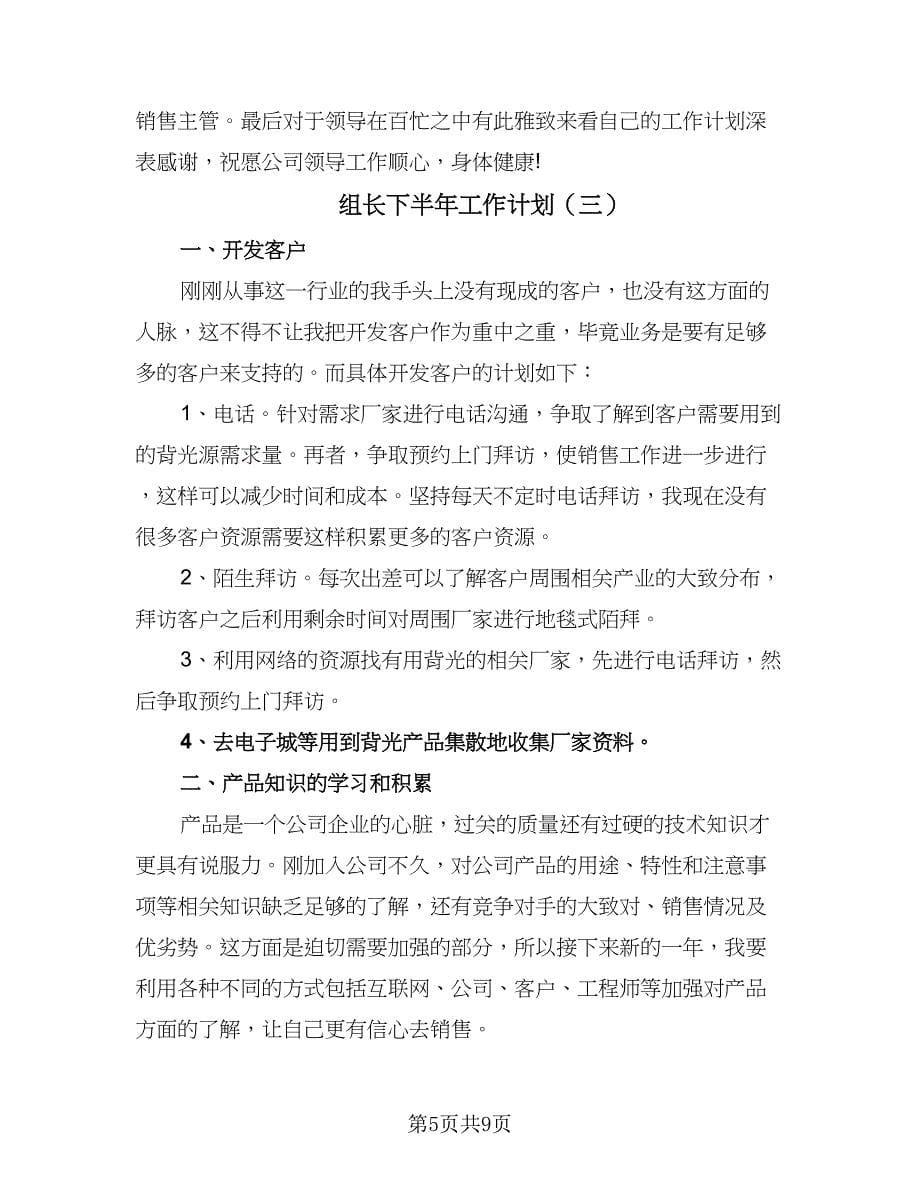 组长下半年工作计划（四篇）.doc_第5页