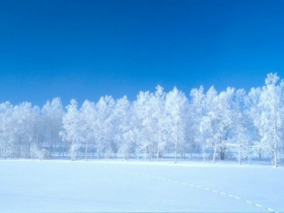 人教版小学一年级语文上册《雪地里的小画家》课件[4_第4页