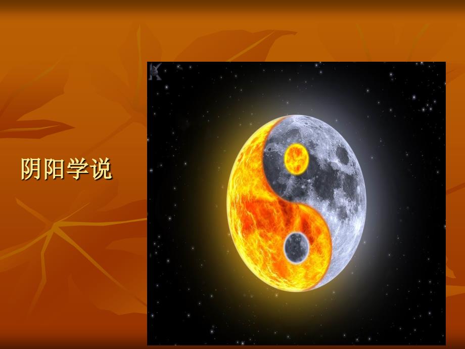 中医基础理论讲座.ppt_第2页