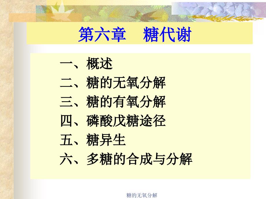 糖的无氧分解课件_第1页