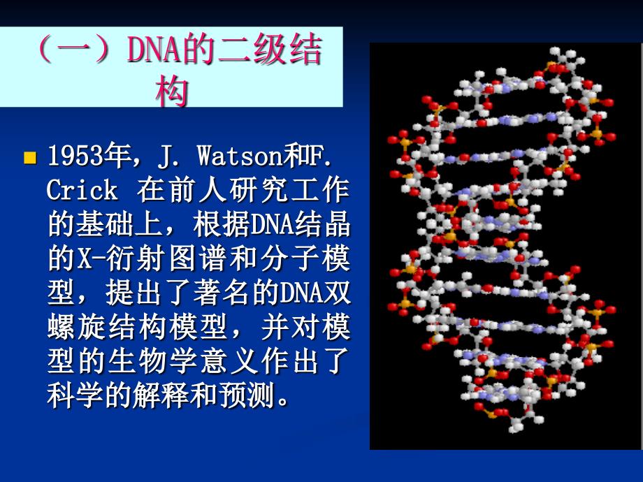 第二章核酸化学2_第4页