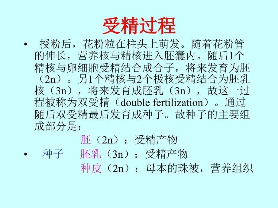 五节配子的形成与受精_第5页