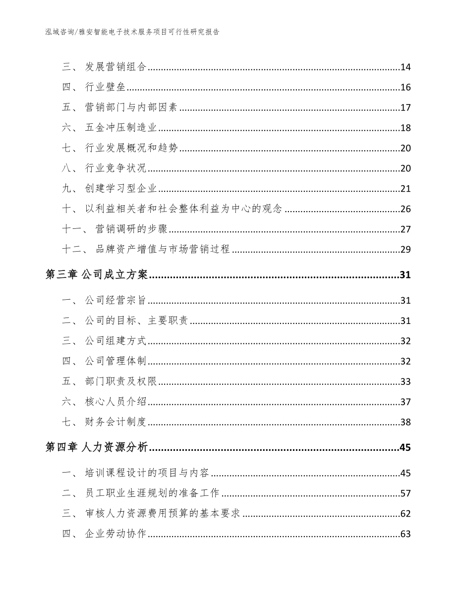 雅安智能电子技术服务项目可行性研究报告（模板范本）_第3页