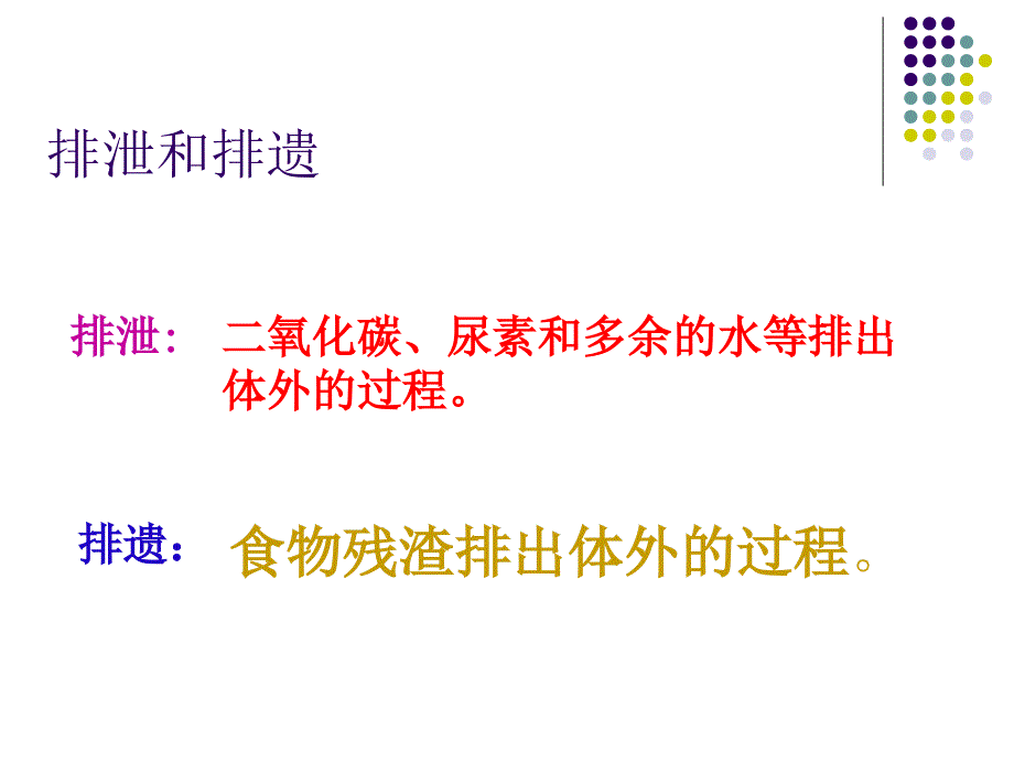 人体内的废物的排出_第2页