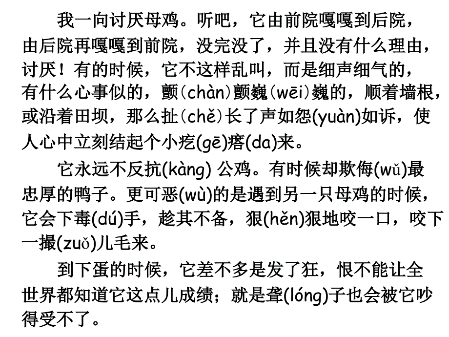 人教新课标四上母鸡PPT课件1_第4页