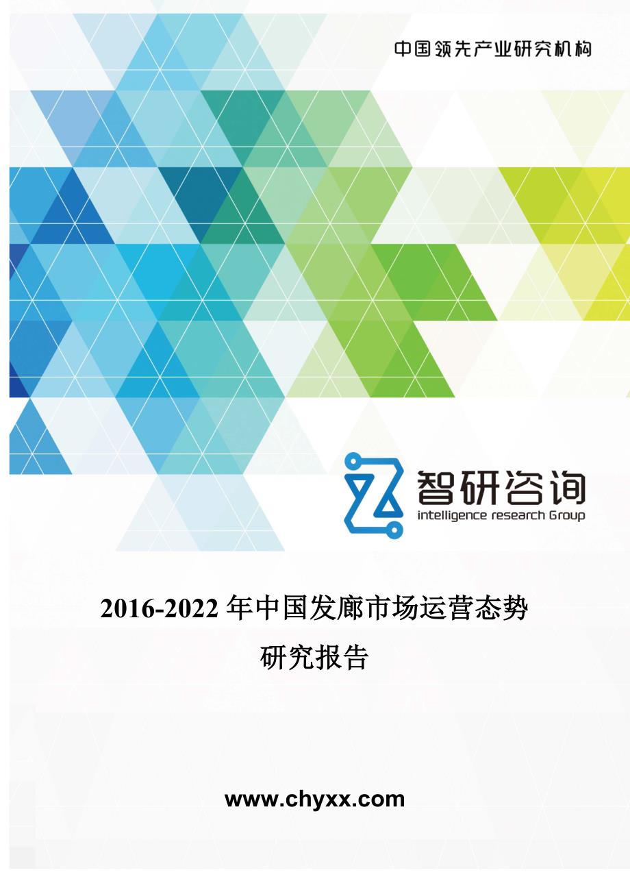 2022年中国发廊市场运营态势研究报告_第1页