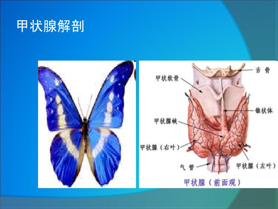 甲状腺癌根治术中喉返神经监测技术的应用_第2页