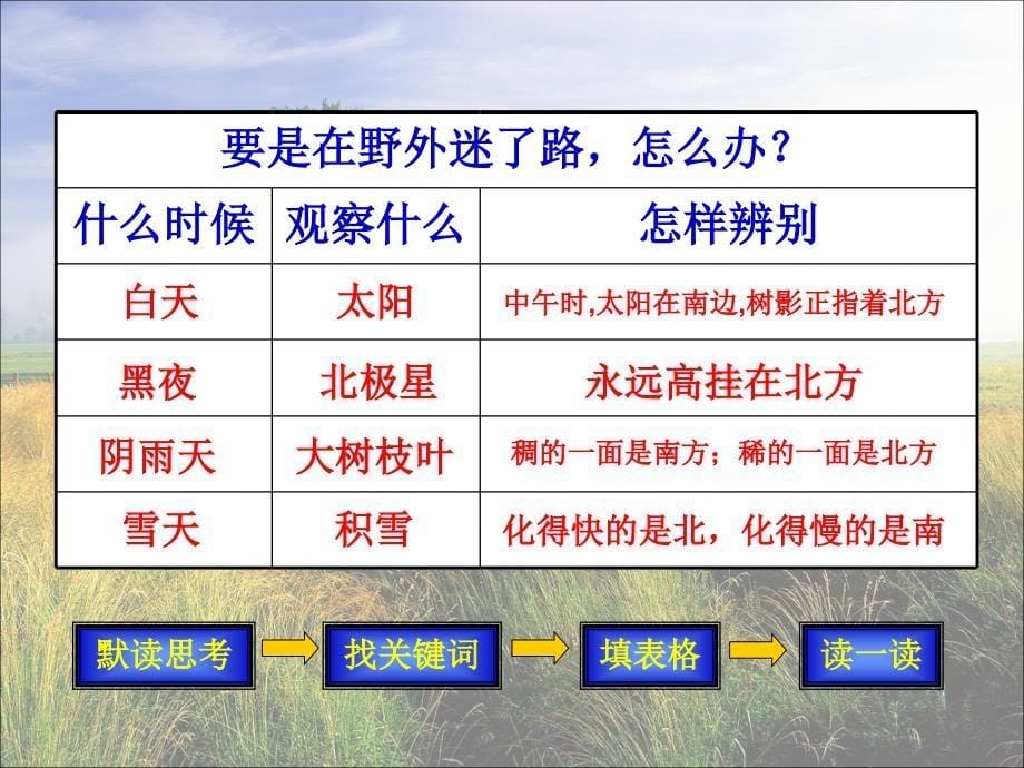 《要是你在野外迷了路》课件1_第5页