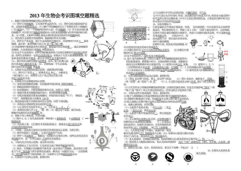 2013年生物结业识图填空题精选.doc_第1页