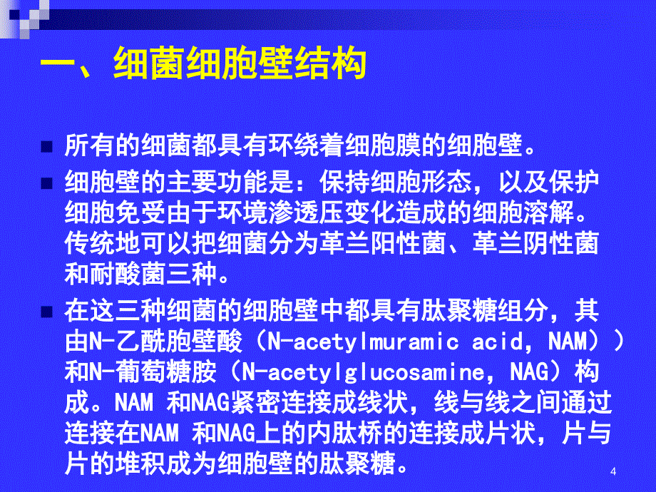 β-内酰胺类抗生素ppt课件_第4页