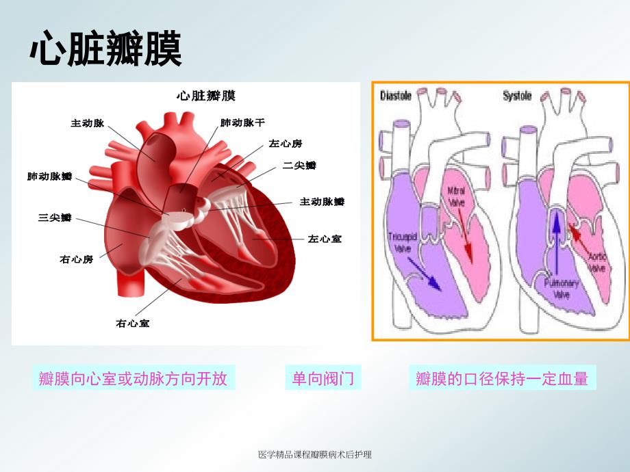 医学精品课程瓣膜病术后护理课件_第4页