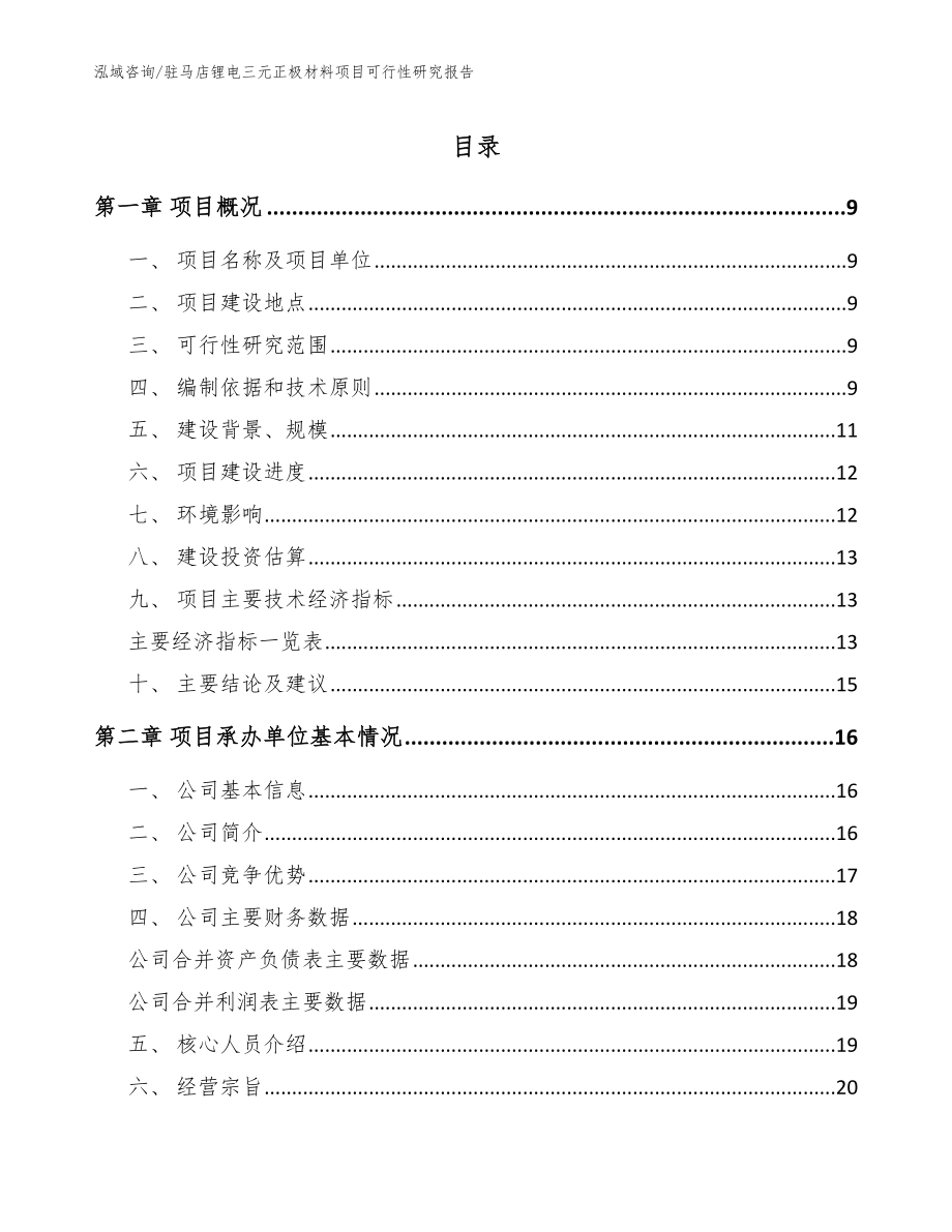 驻马店锂电三元正极材料项目可行性研究报告范文参考_第1页