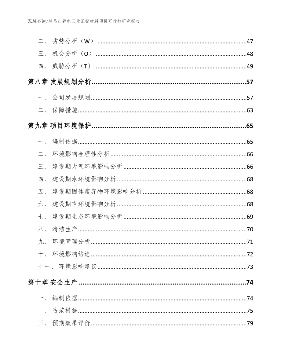 驻马店锂电三元正极材料项目可行性研究报告范文参考_第3页