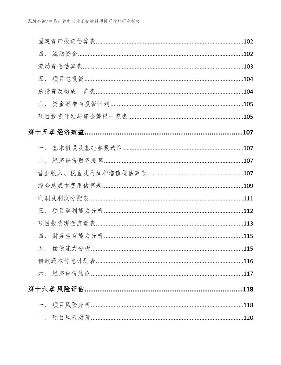 驻马店锂电三元正极材料项目可行性研究报告范文参考_第5页