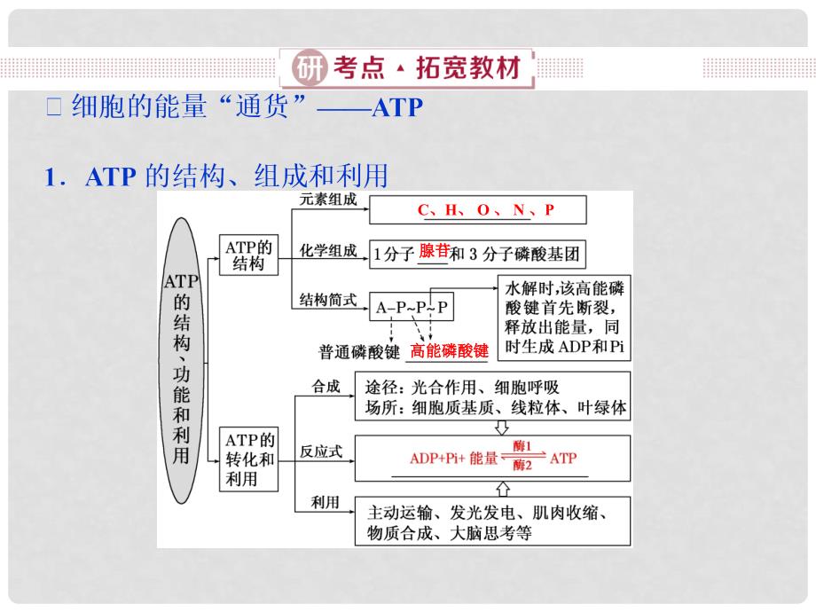 高考生物总复习 第三单元 细胞的能量供应和利用 第9讲 ATP及其主要来源——细胞呼吸课件 新人教版_第3页