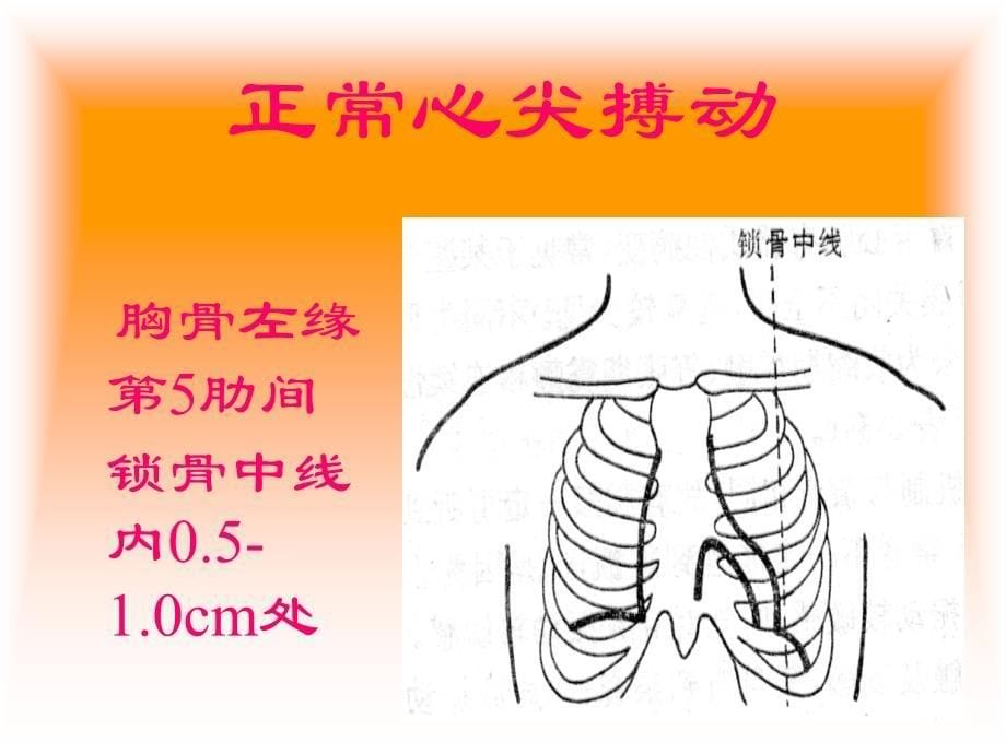 心脏检查(CardiacExamination).ppt_第5页