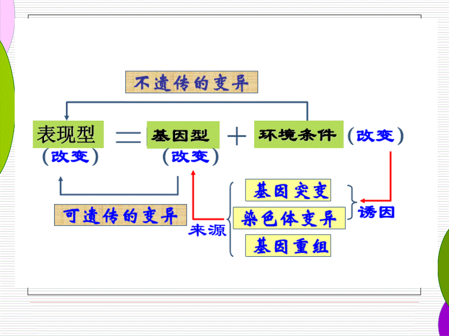 浙科版生物变异的来源_第4页