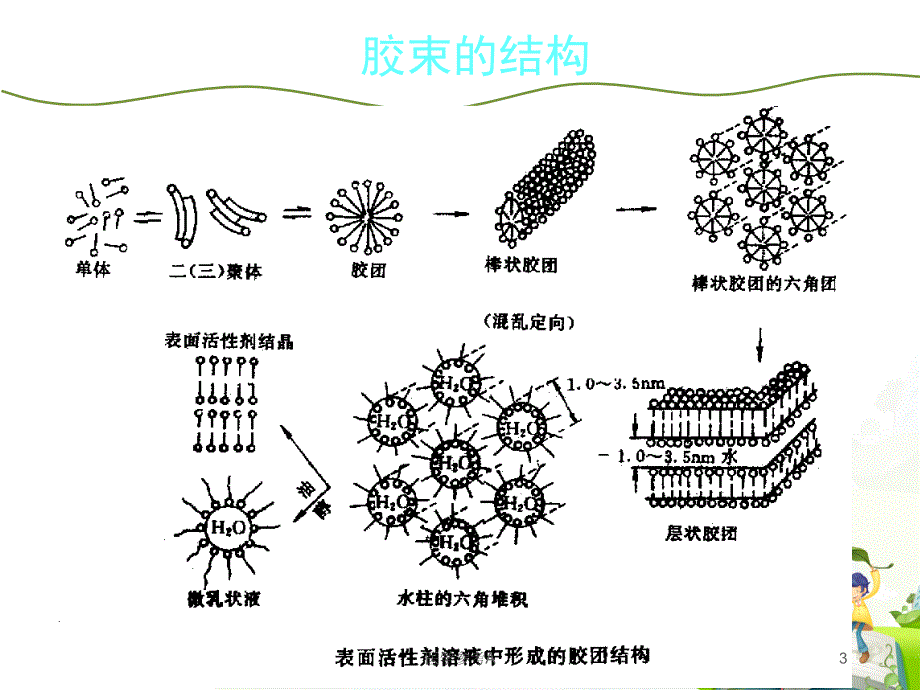 阴离子表面活性剂(概论)【参考仅供】_第3页