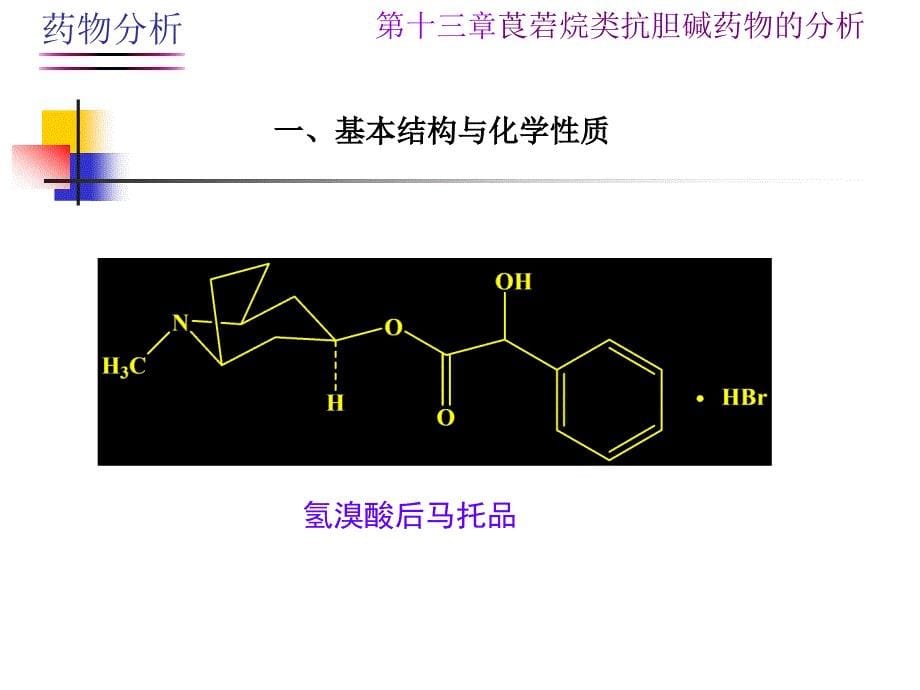 莨菪烷类抗胆碱药物的分析.ppt_第5页