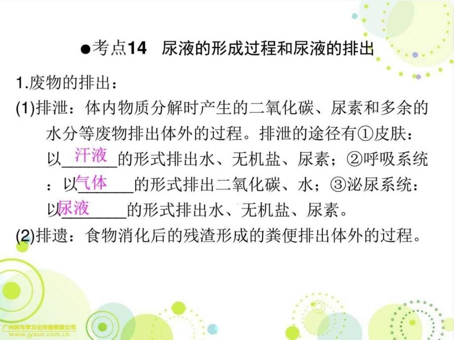 广东省中山市人教版初中生物中考精美复习课件第13_第4页