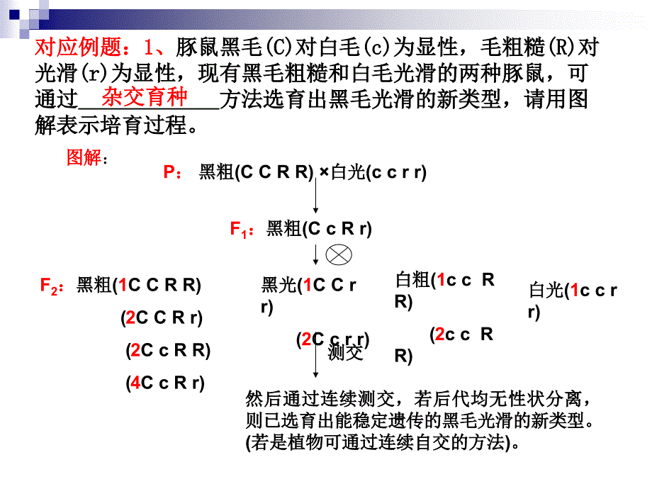 几种育种方式的比较_第4页