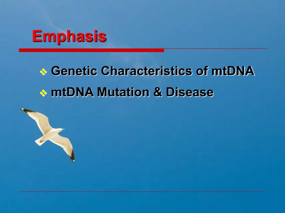 第九章线粒体遗传病ppt课件_第2页