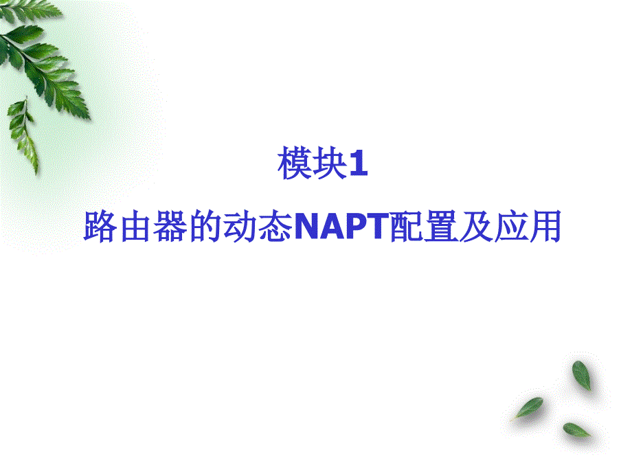 互联网访问的NAPT实现.ppt_第4页