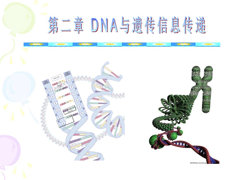 医学遗传学：第二章 DNA与遗传信息传递_第1页