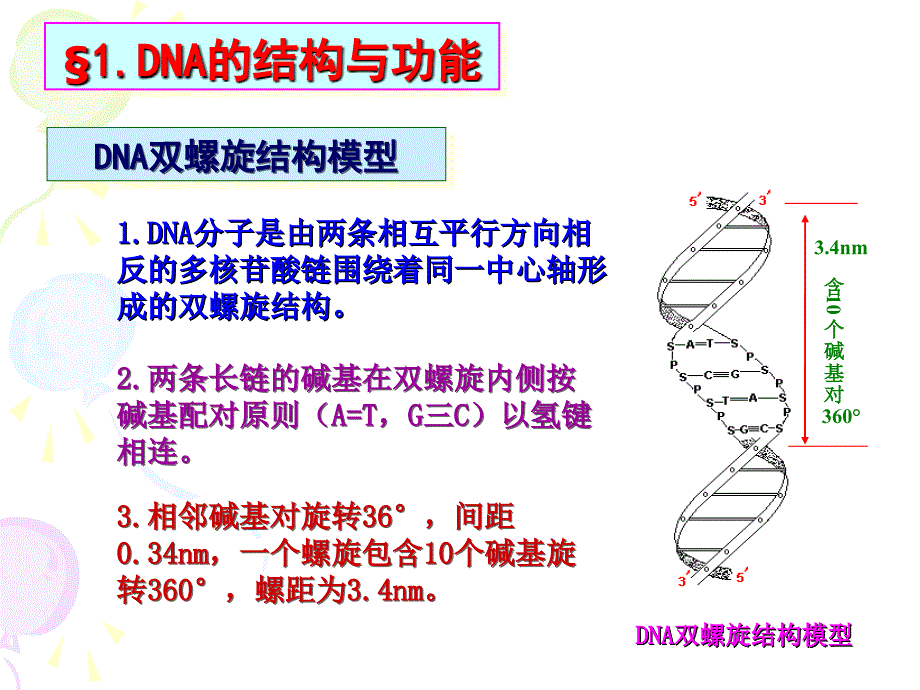 医学遗传学：第二章 DNA与遗传信息传递_第2页