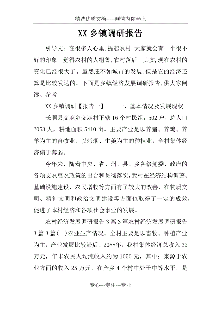 XX乡镇调研报告_第1页