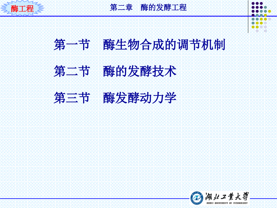 酶工程ppt【优制材料】_第2页