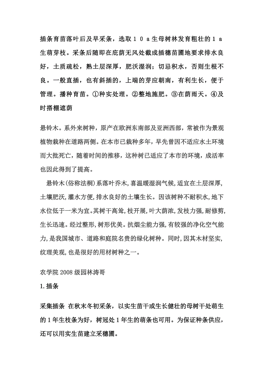 悬铃木的主要繁殖育苗技术.doc_第1页