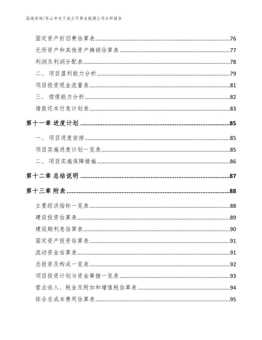 京山市关于成立可再生能源公司分析报告_第5页