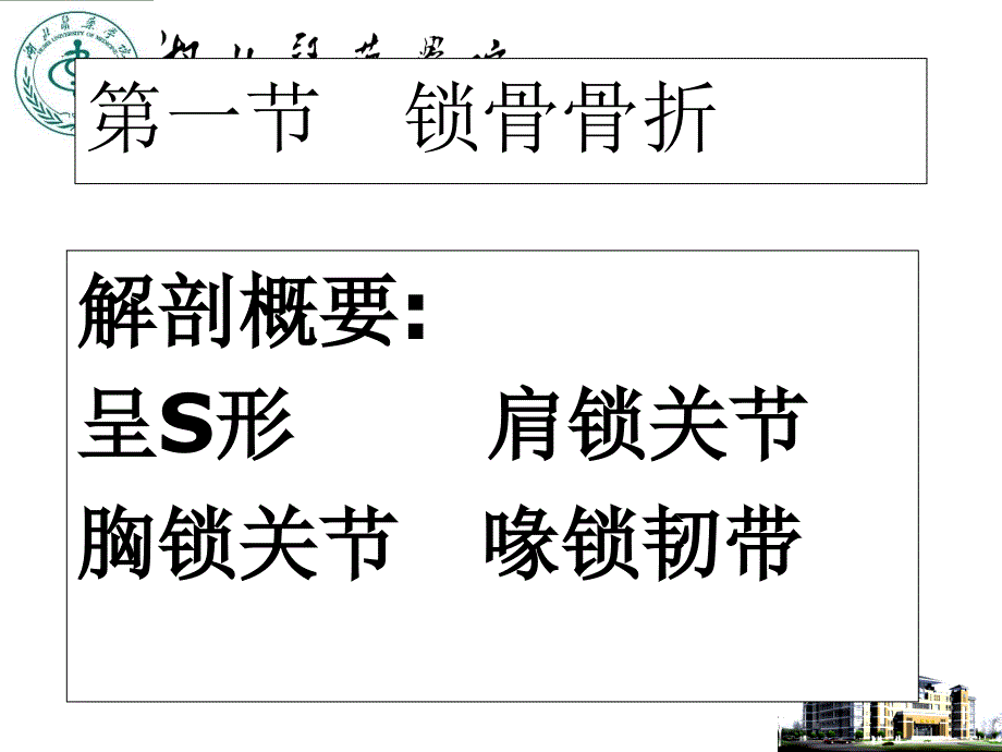 外科学教学课件：上肢骨、关节损伤1_第2页