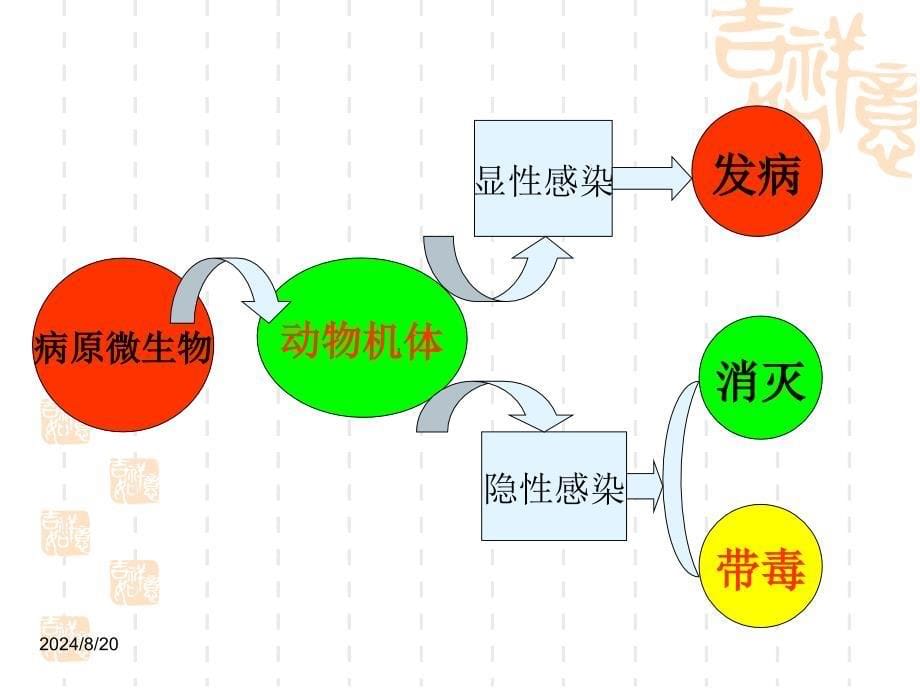 《动物疫病防治》PPT课件.ppt_第5页